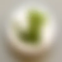 CustomCupsNow.Com