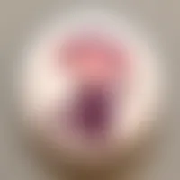 CustomCupsNow.Com