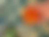 CustomCupsNow.Com