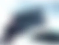 CustomCupsNow.Com - Rectangle Flag