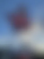 CustomCupsNow.Com - Rectangle Flag