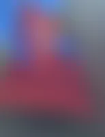 CustomCupsNow.Com - Rectangle Flag