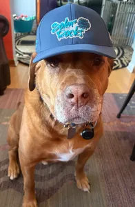 CustomCupsNow.Com - Full Color TPU