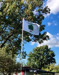 CustomCupsNow.Com - Rectangle Flag