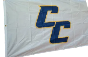 CustomCupsNow.Com - Rectangle Flag