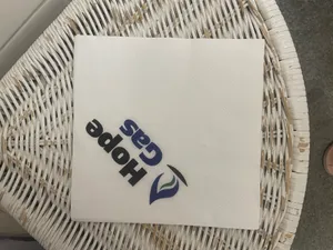 CustomCupsNow.Com - Custom Paper Luncheon Napkins