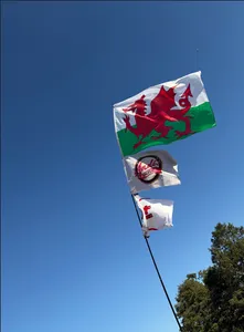 CustomCupsNow.Com - Rectangle Flag