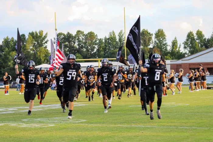 CustomCupsNow.Com - Rectangle Flag