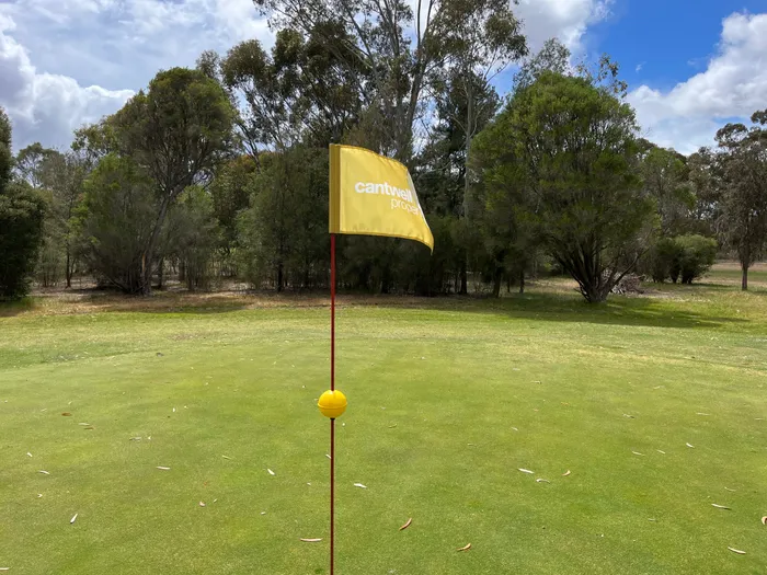 CustomCupsNow.Com - Golf Flag
