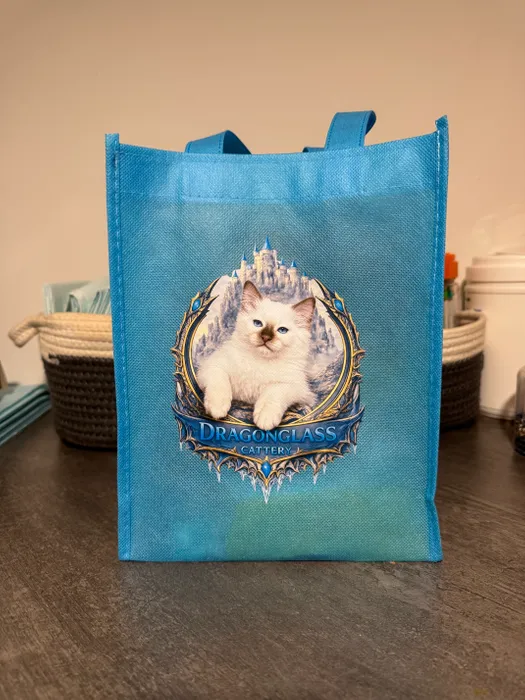 CustomCupsNow.Com - Custom Small Gift Tote Bag