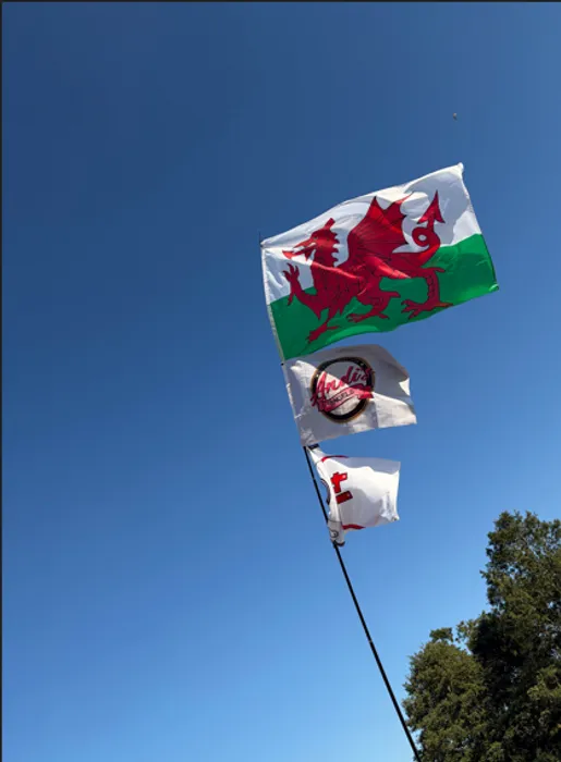 CustomCupsNow.Com - Rectangle Flag
