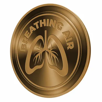 Challenge Coins - Custom Cups Now