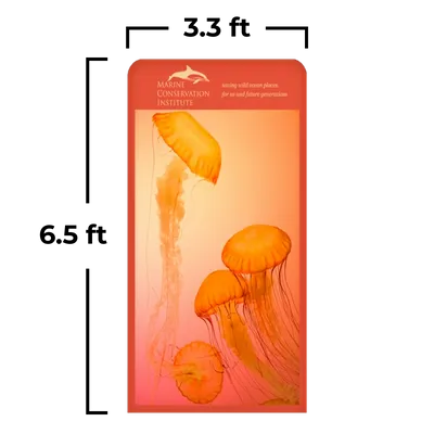 3.3 x 6.5 ft - Custom Cups Now