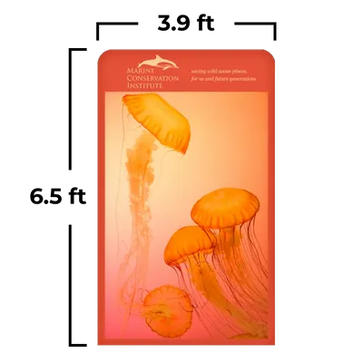 3.9 x 6.5 ft - Custom Cups Now