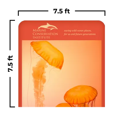 7.5 x 7.5 ft - Custom Cups Now