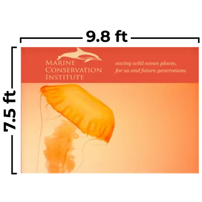 9.8 x 7.5 ft - Custom Cups Now