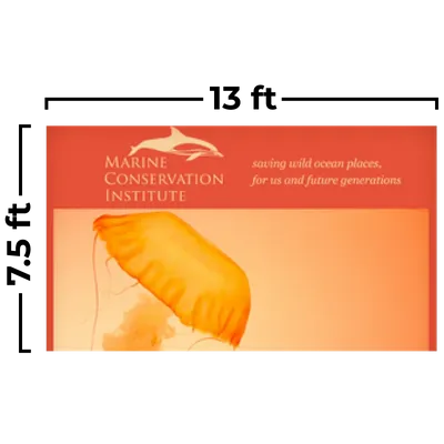 13 x 7.5 ft - Custom Cups Now