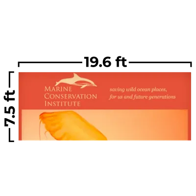 19.6 x 7.5ft - Custom Cups Now