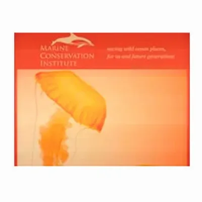 None - Custom Cups Now