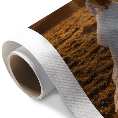 Rolled Canvas Rolled Canvas - Custom Cups Now
