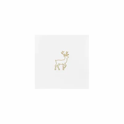 5 in x 5 in - Custom Cups Now