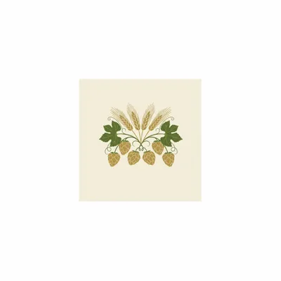 5 in x 5 in - Custom Cups Now