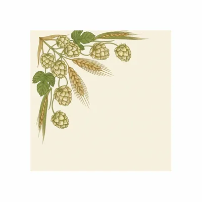 Standard - Custom Cups Now