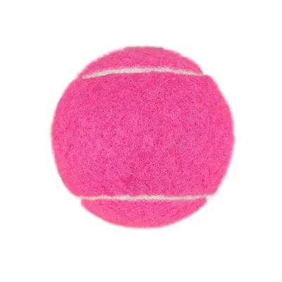 Fuchsia - Custom Cups Now