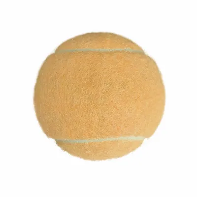 Rice Orange - Custom Cups Now