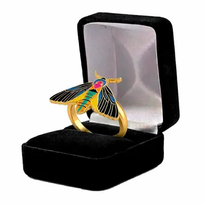 Black Velvet Box - Custom Cups Now