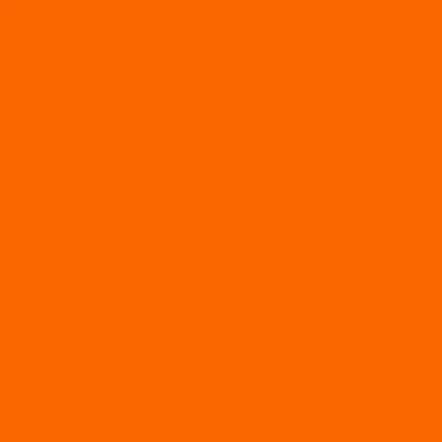 Orange - Custom Cups Now