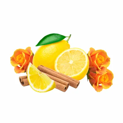 Amber - Custom Cups Now