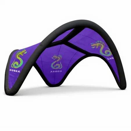 16 ft. x 16 ft. Inflatable Trident Tents 16 ft. x 16 ft. Inflatable Trident Tents - Custom Cups Now