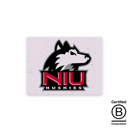 Seed Paper Panel Cards - Custom Cups Now