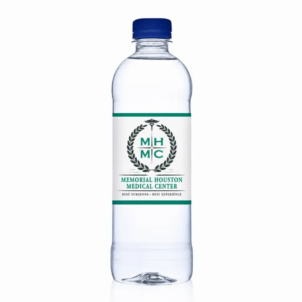 16.9 oz Bullet Bottles – Private Label Water - Custom Cups Now